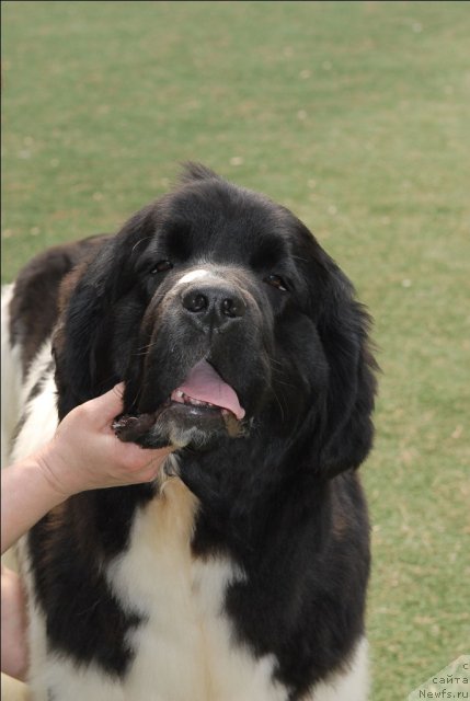 Фотография № 66737