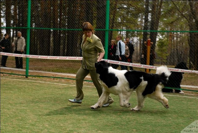 Фотография № 66738