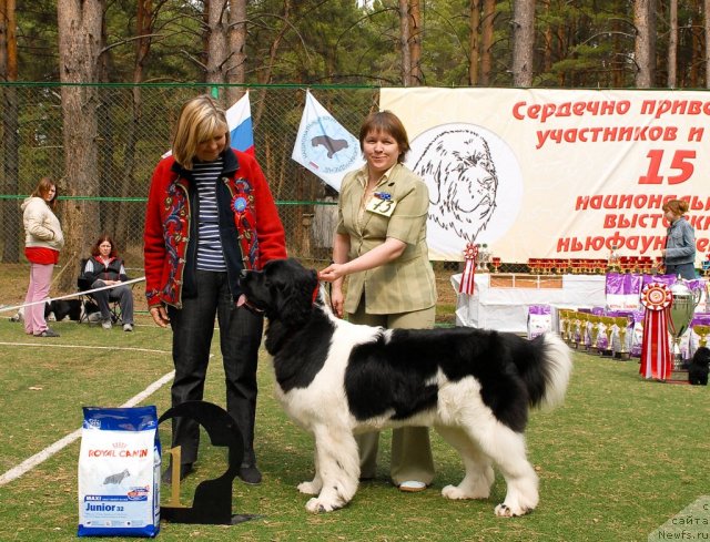 Фотография № 66740