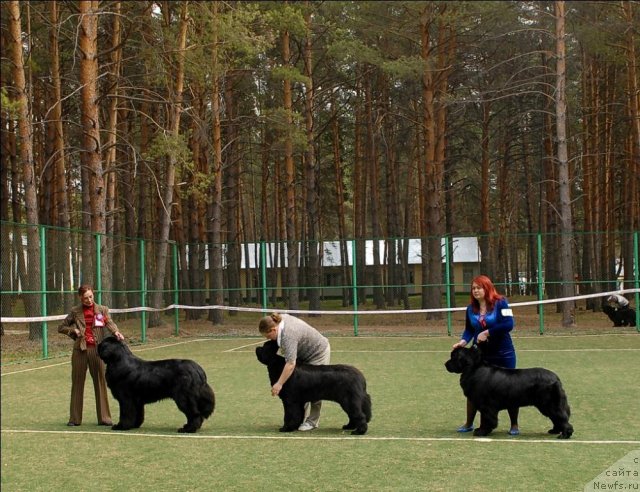 Фотография № 66741