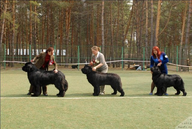 Фотография № 66742