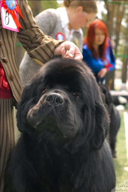 Фотография № 66748