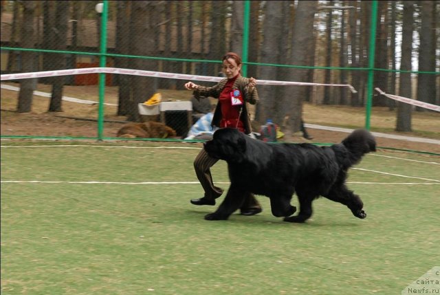 Фотография № 66754