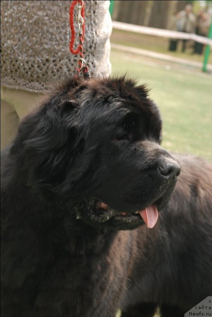 Фотография № 66765