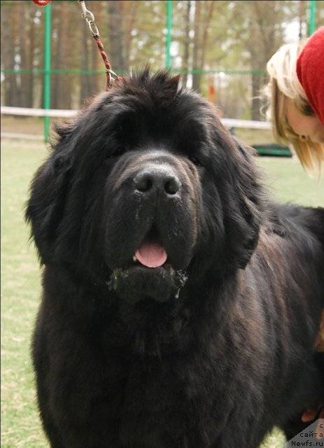 Фотография № 66767