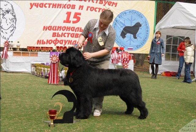 Фотография № 66792