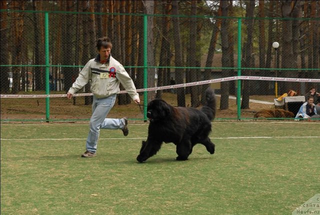 Фотография № 66797