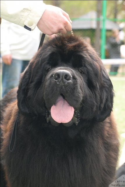 Фотография № 66798