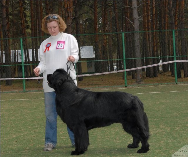 Фотография № 66803