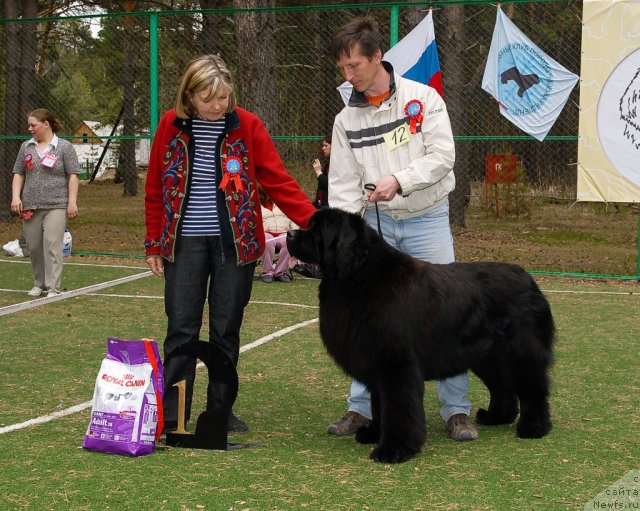 Фотография № 66805