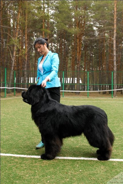 Фотография № 66808