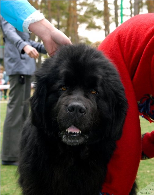 Фотография № 66810