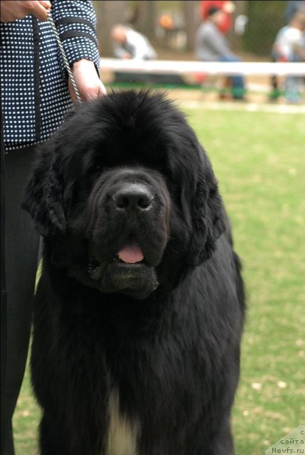 Фотография № 66815