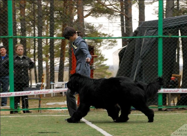 Фотография № 66820