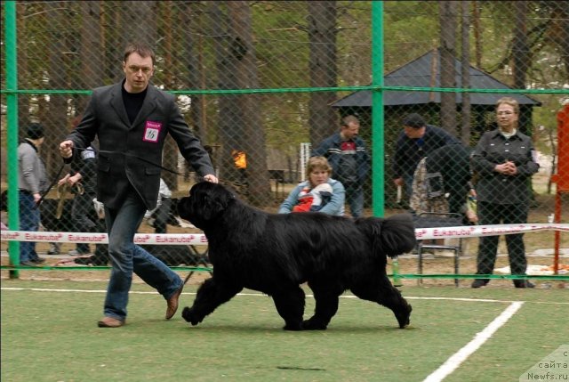 Фотография № 66834