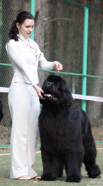 Фотография № 66856