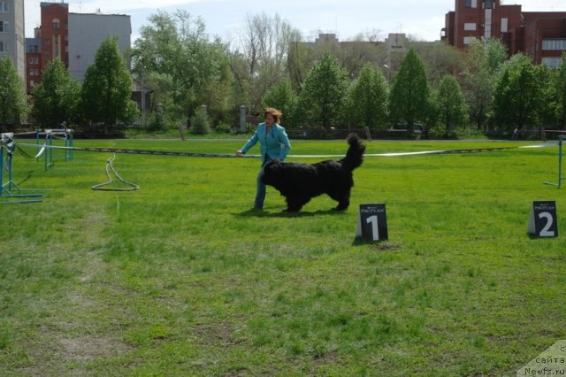 Фотография № 66868