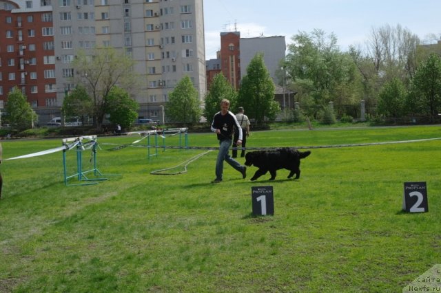 Фотография № 66875