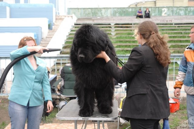 Фотография № 66878