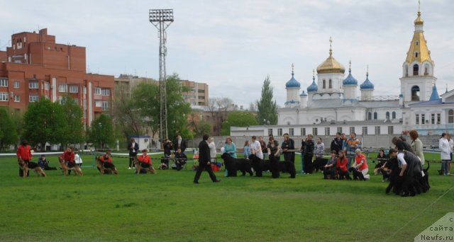 Фотография № 66883