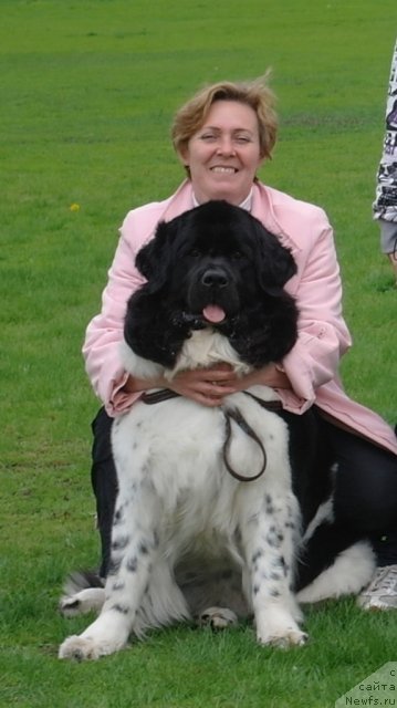 Фотография № 66885