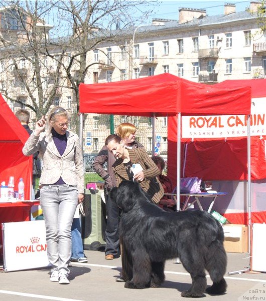 Фотография № 66886