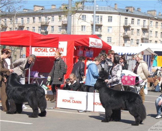 Фотография № 66887