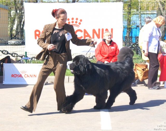 Фотография № 66891