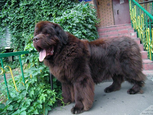 Фотография № 66912