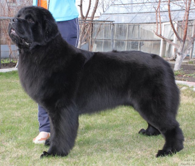 Фотография № 66928