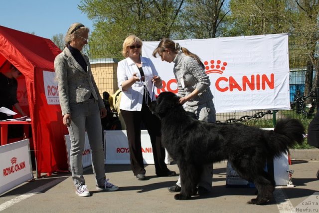 Фотография № 66933