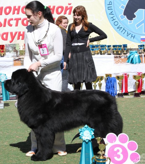 Фотография № 66936