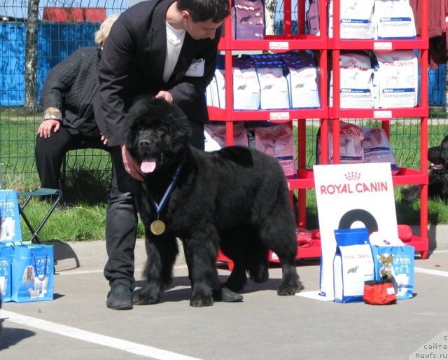 Фотография № 66938