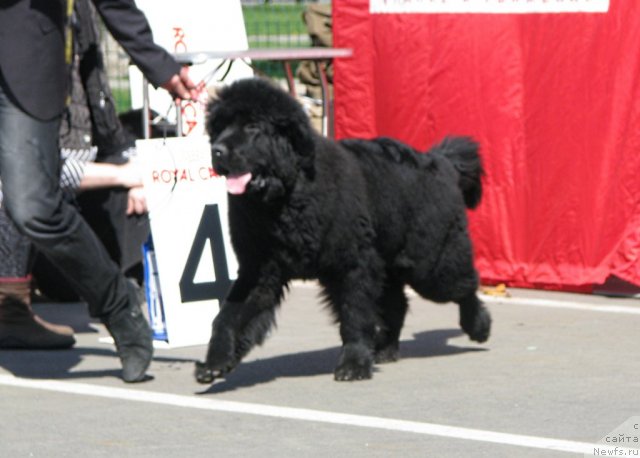 Фотография № 66939