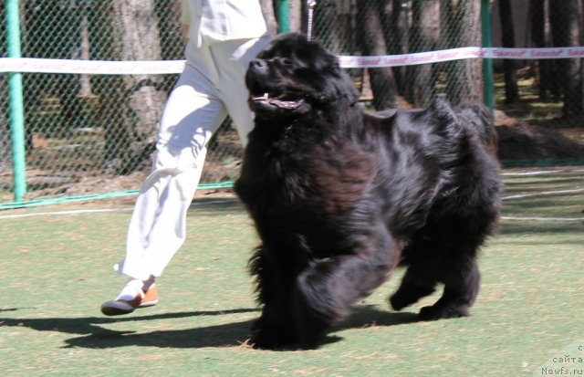 Фотография № 66944