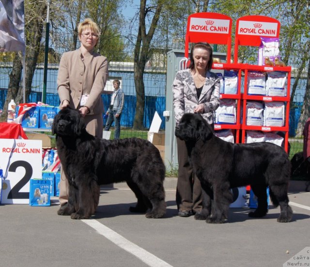 Фотография № 66945