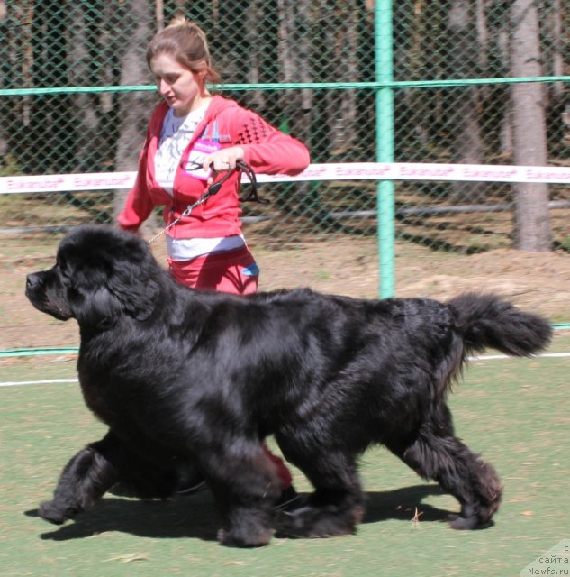 Фотография № 66947