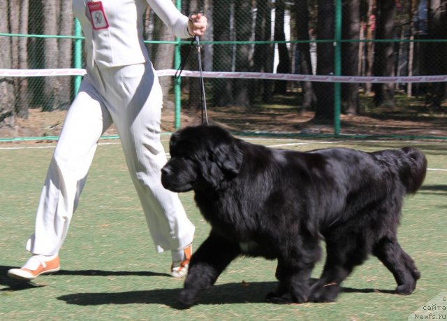 Фотография № 66952