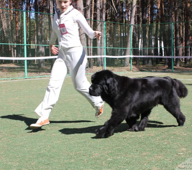 Фотография № 66953