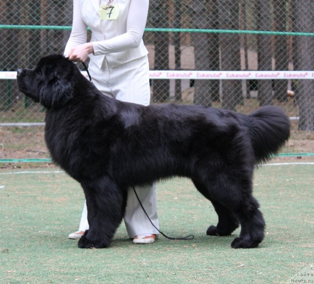 Фотография № 66956