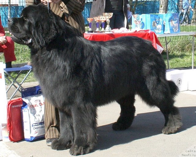 Фотография № 66958