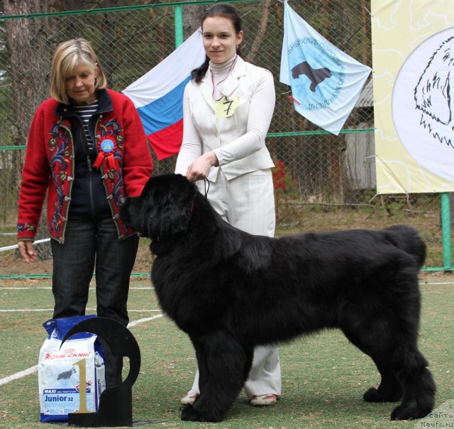 Фотография № 66959