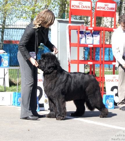 Фотография № 66960