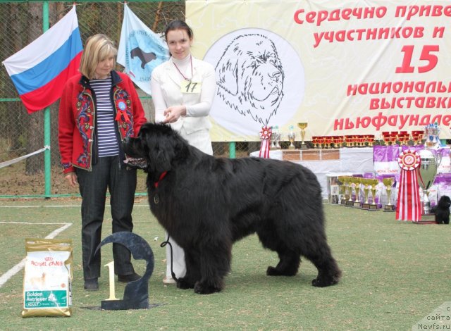 Фотография № 66963