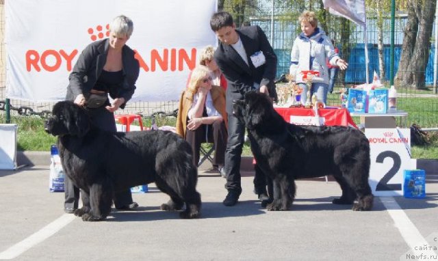 Фотография № 66964