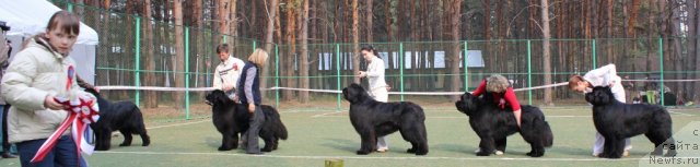 Фотография № 66965