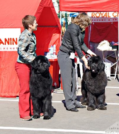 Фотография № 66966