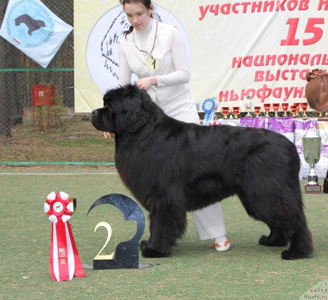 Фотография № 66983