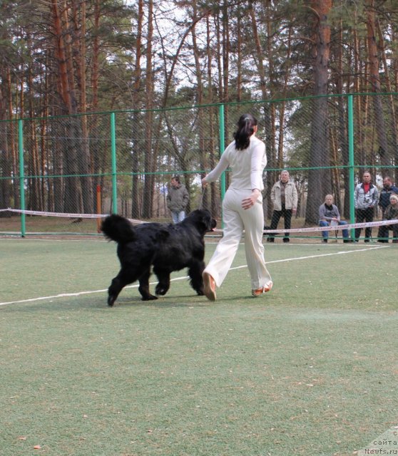 Фотография № 66986