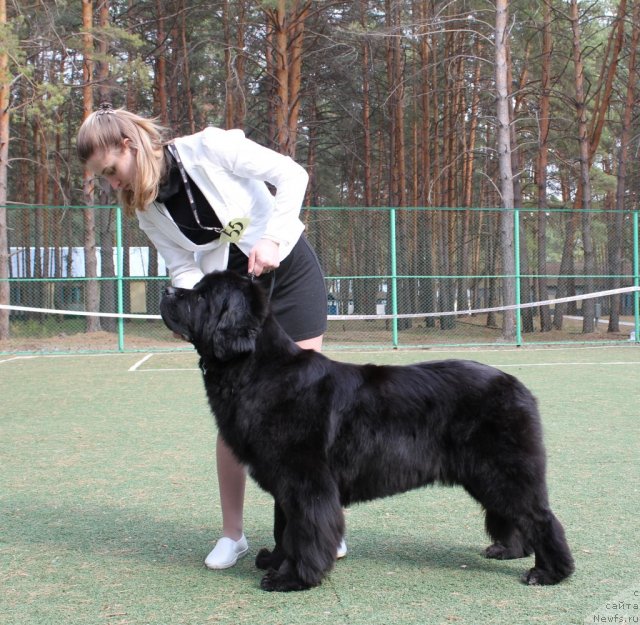 Фотография № 66987